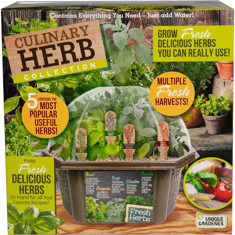 Indoor Herb Garden Starter Kit – Includes Potting Soil, Terrarium, 5 Herb Seed Packets Basil, Oregano, Rosemary Sage, Cilantro, and Parsley