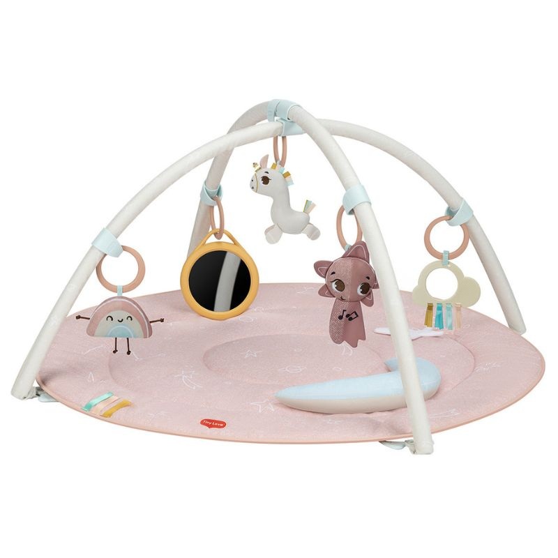 Unicorn Wonderlands Developmental Gymini