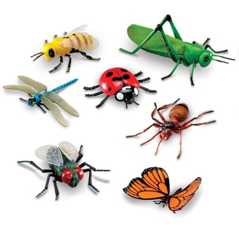Jumbo Insects