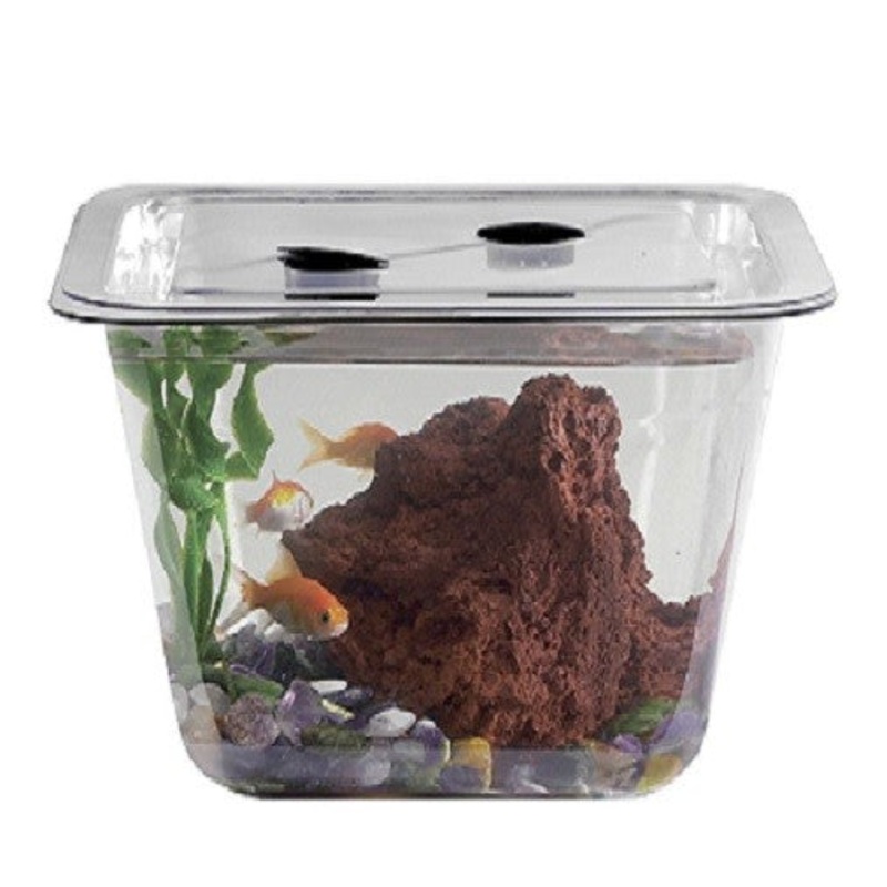 1-Gallon Student Aquaria/Terraria with Cover