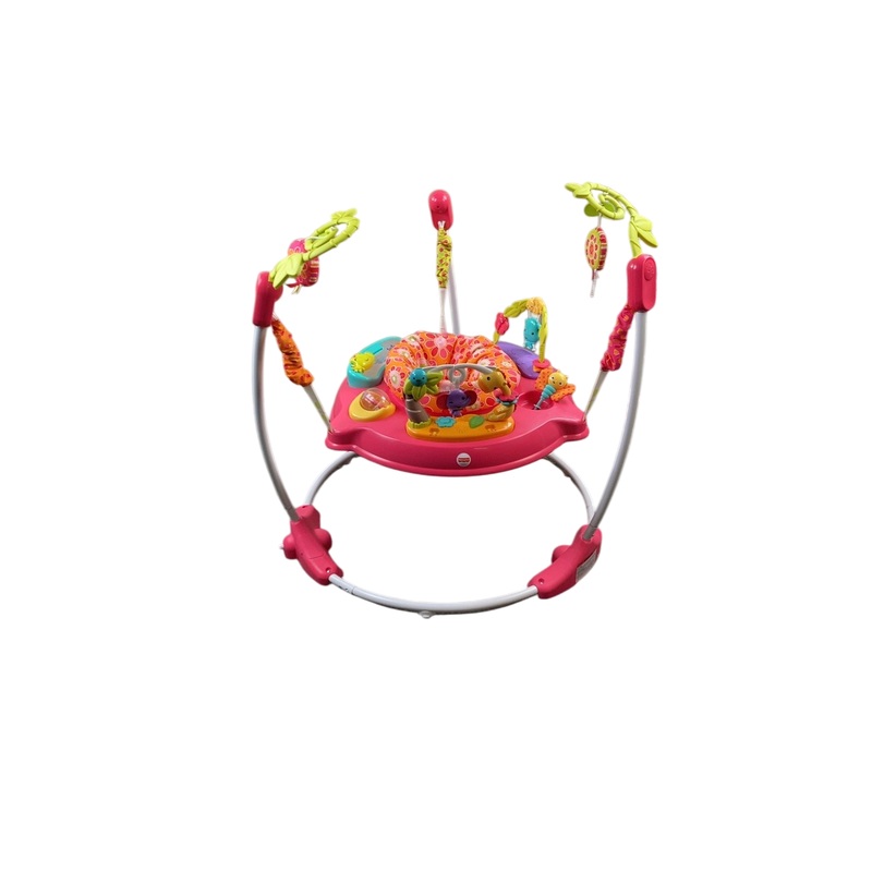 Fisher Price Jumperoo Activity Center, Pink Petals