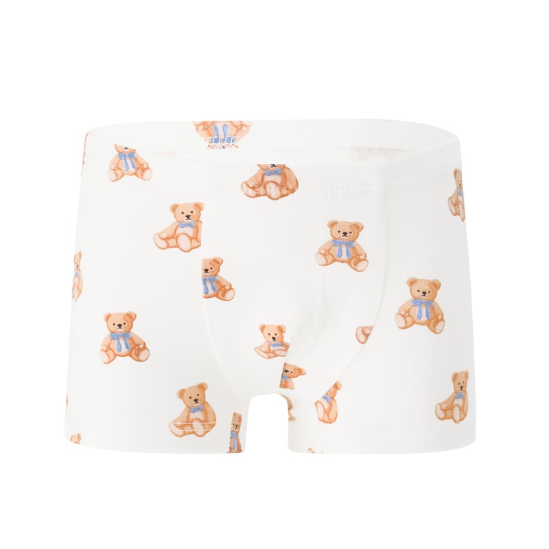 Briefs in Teddy Bear