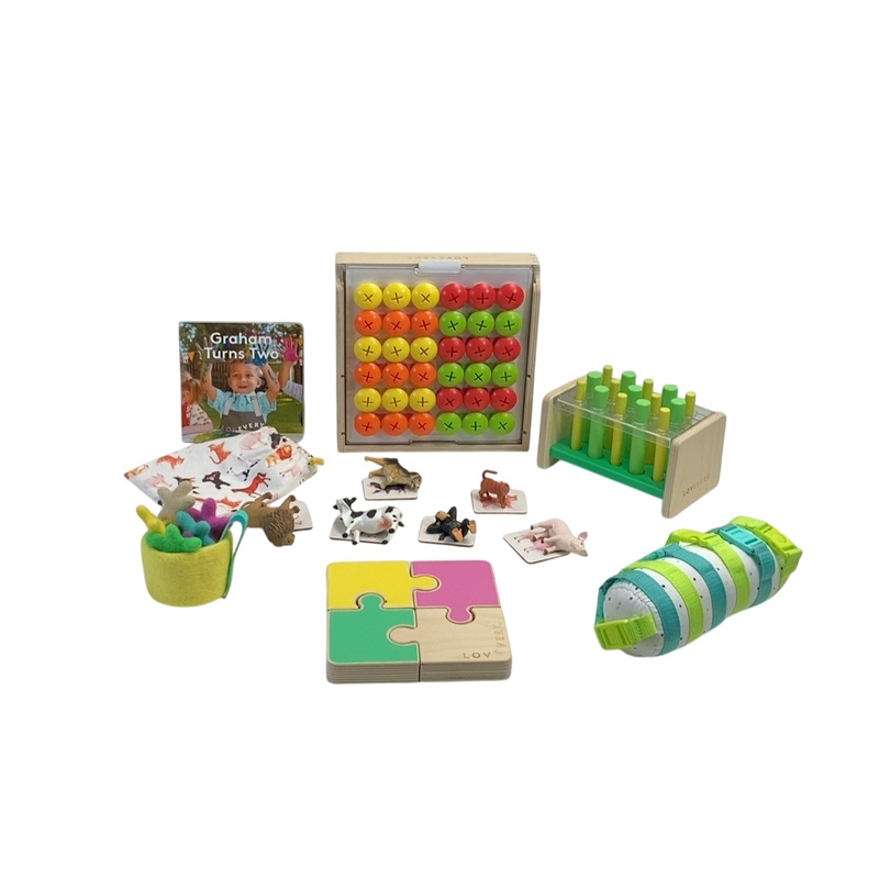 Lovevery The Companion Play Kit