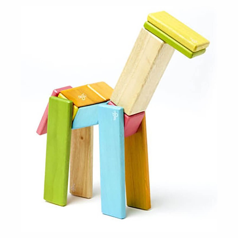 Magnetic Wooden Blocks Tints 14 Piece Set