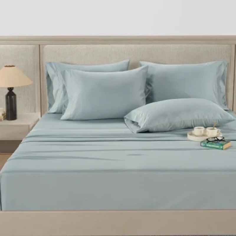 Luxurious 800 Thread Count Cotton 6-Piece Sheet Set King – Blue