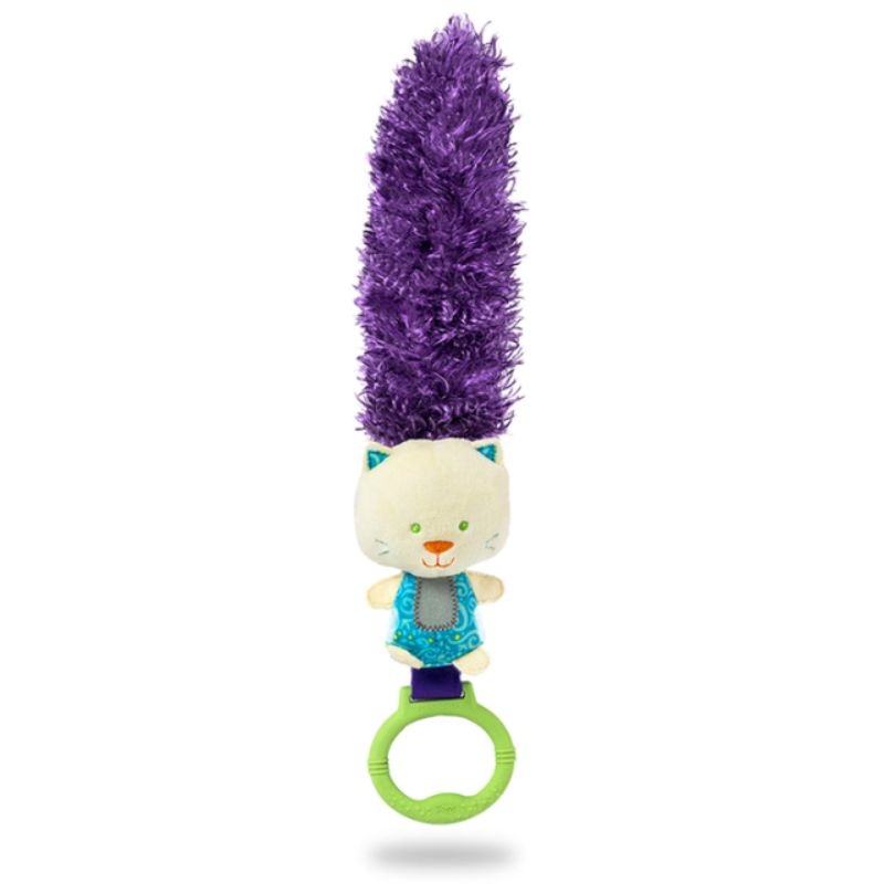 Developmental Toy