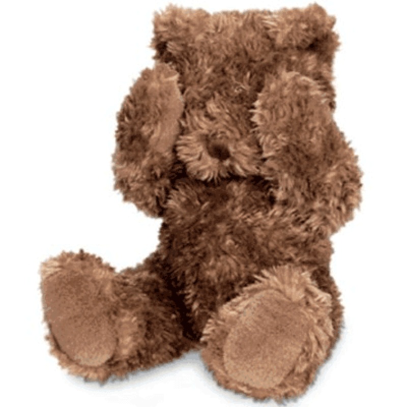 Munchkin Peek-A-Boo Bear