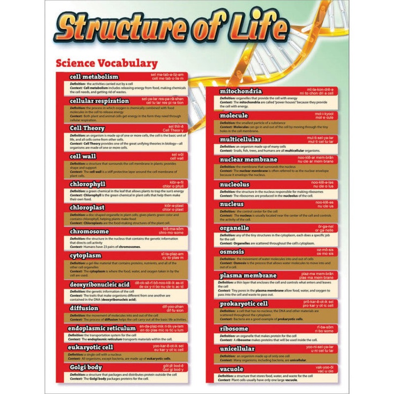 Science Vocabulary: Structure of Life Chart Grade 5-12