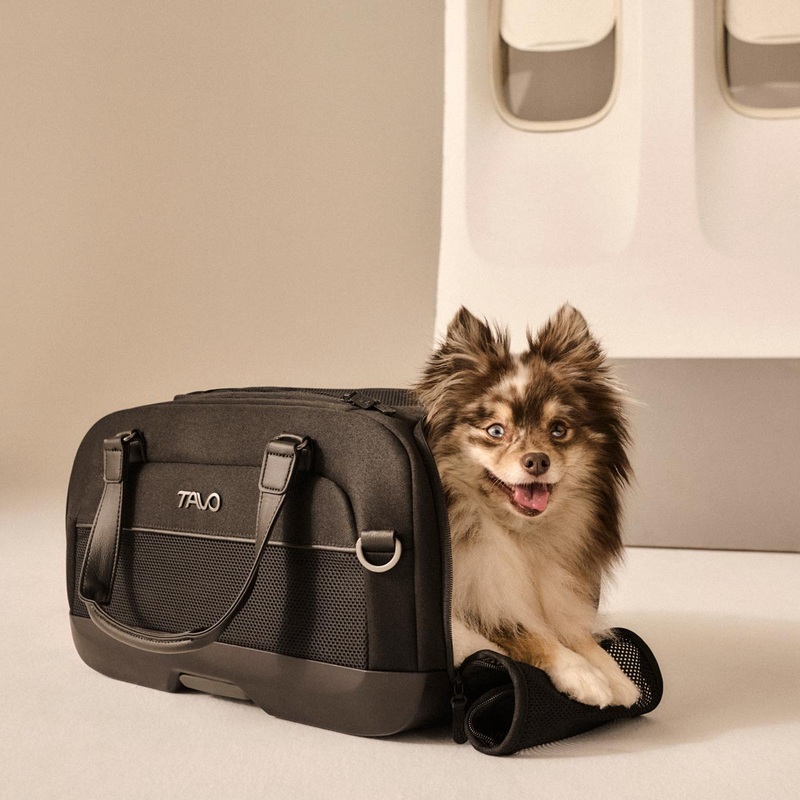 Tavo Pets by Nuna – Dupree Carry-On Pet Car Seat