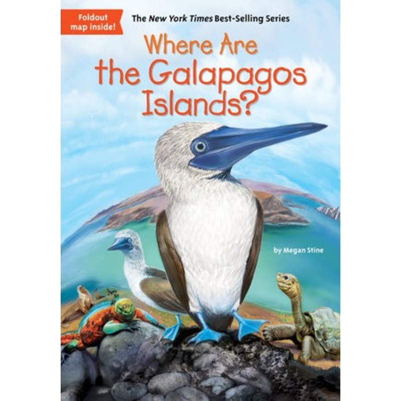 Where Are the Galapagos?
