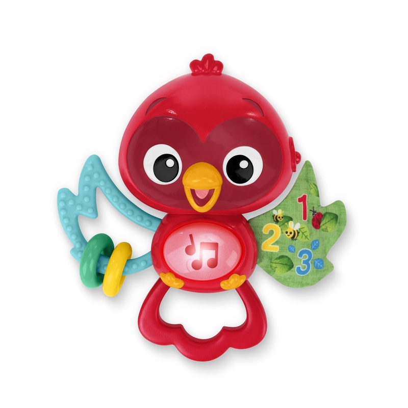 Roxy’s Bright Flight Musical Toy