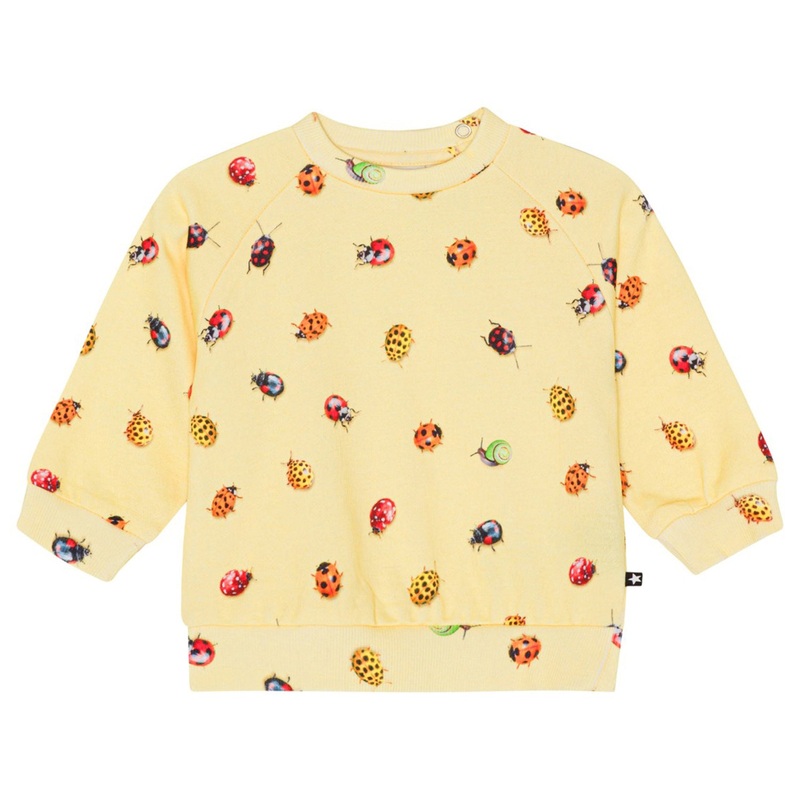 Disc Sweatshirt – Coccinella