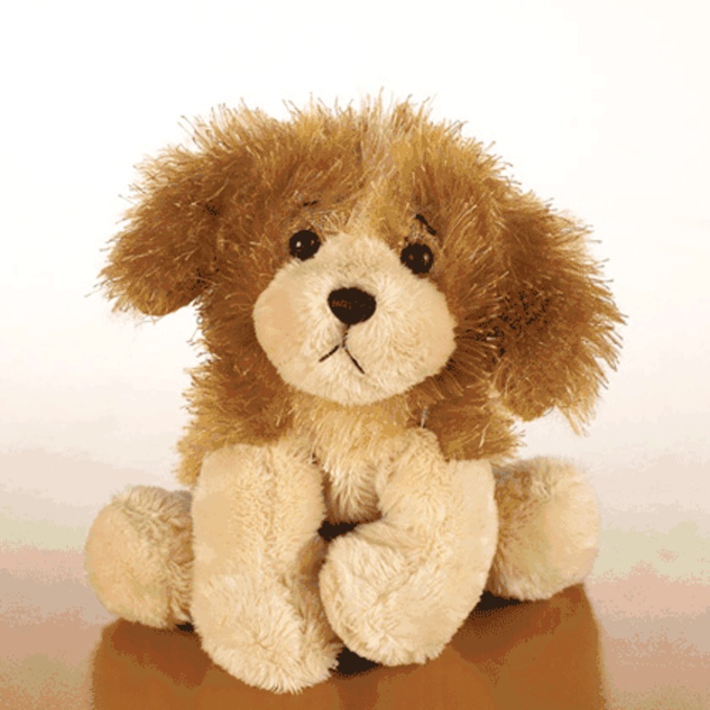 Lil ‘Kinz Cocker Spaniel