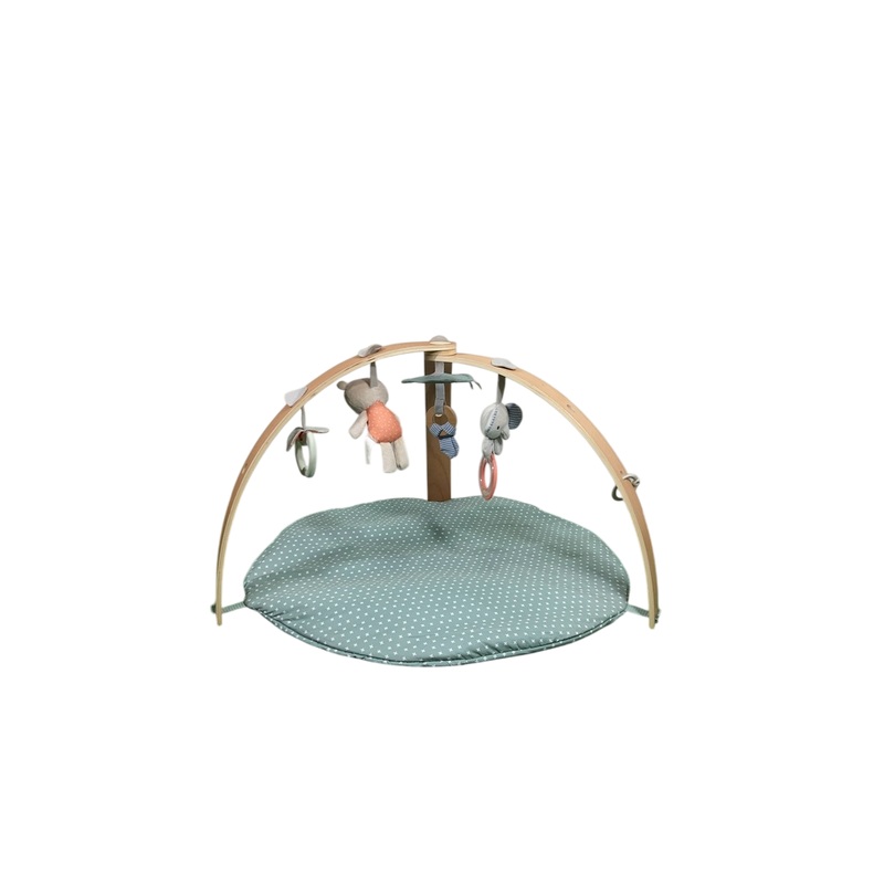 Ingenuity Cozy Spot Reversible Activity Gym