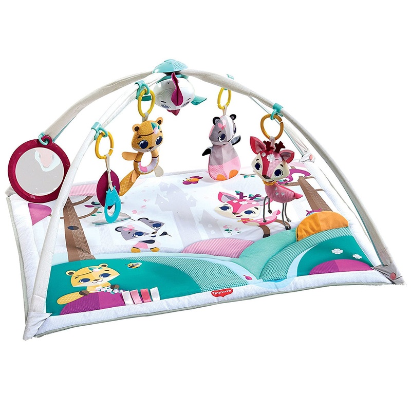 Tiny Love Gymini Deluxe – Tiny Princess Tales