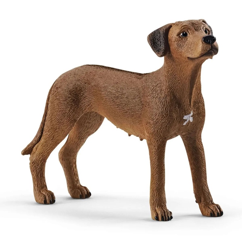 Schleich Rhodesian Ridgeback Dog