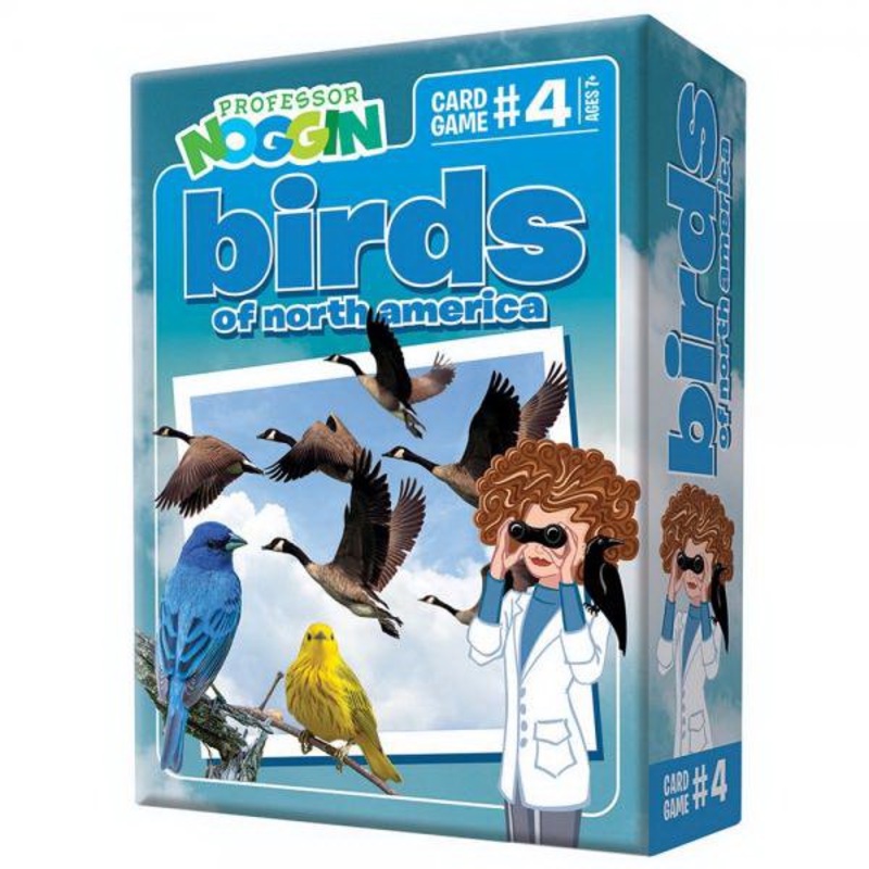 Outset Media Games  Professor Noggins Birds of NA