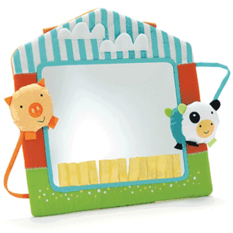 Skip Hop Funky Farmyard Touch & View Farmhouse Activity Mirror
