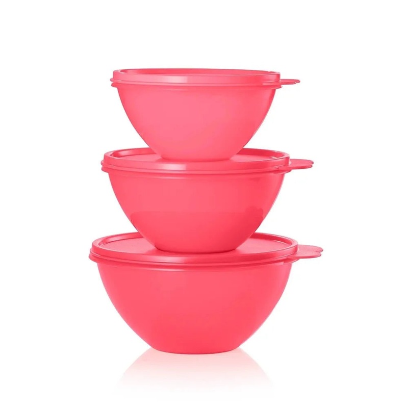 6pc Wonderlier Bowl Food Storage Set – Pink (See Description)