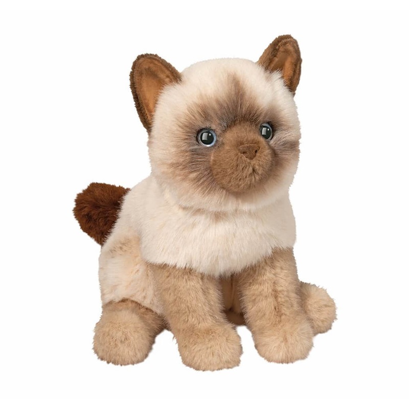 Siamese Cat