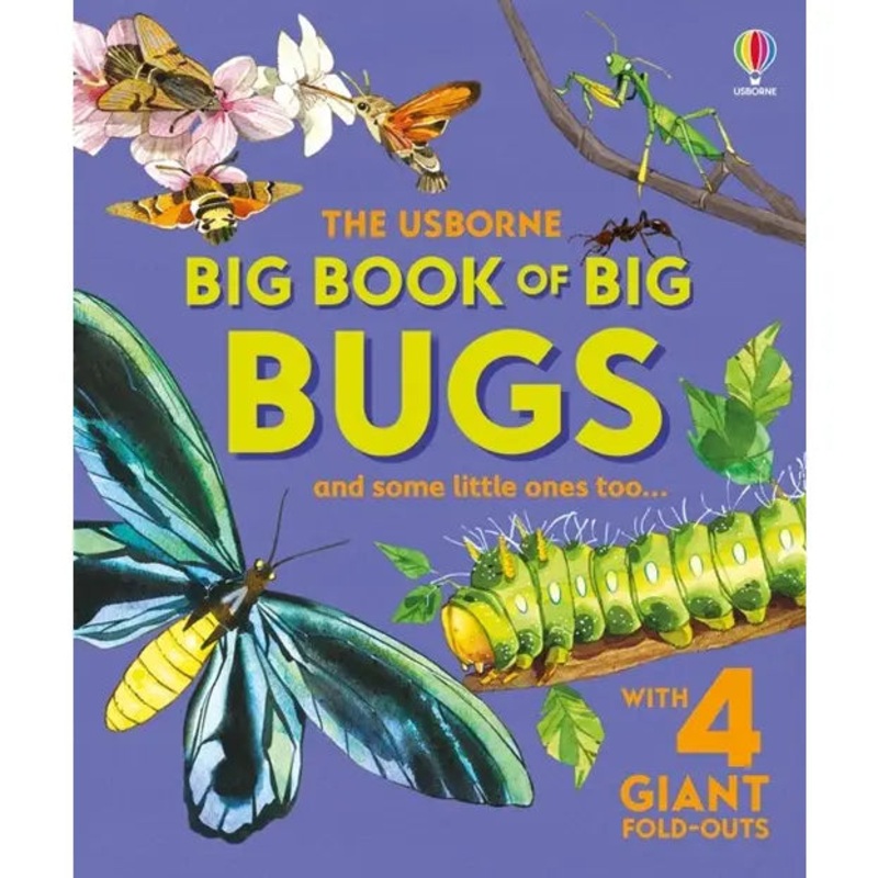 Usborne Big Book of Big Bugs