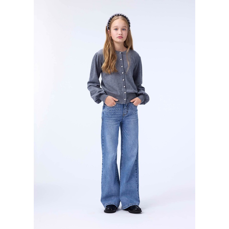 Astra Woven Pants – Rhinestone Denim