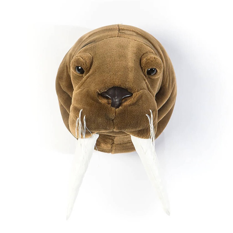 Walrus