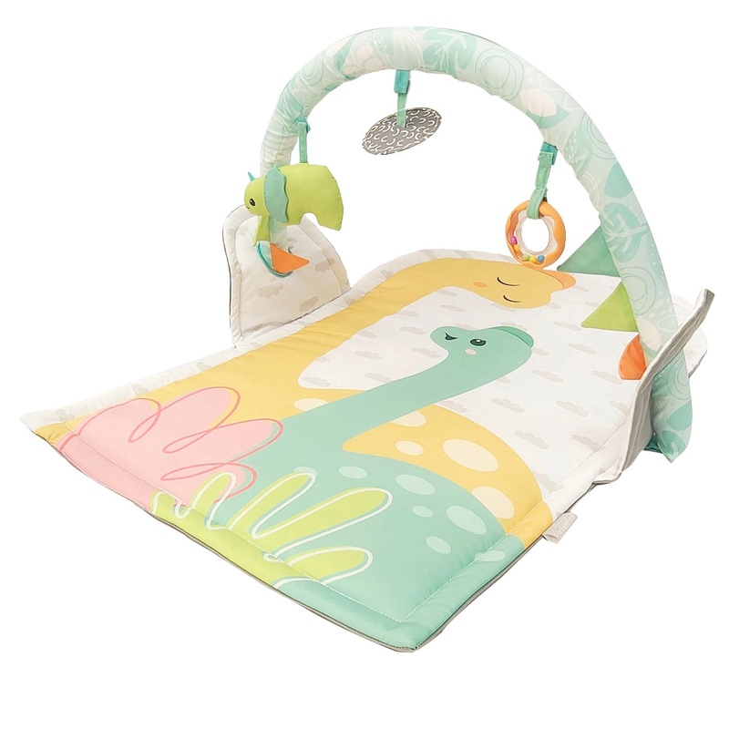 FUNTASTIC ACTIVITY GYM