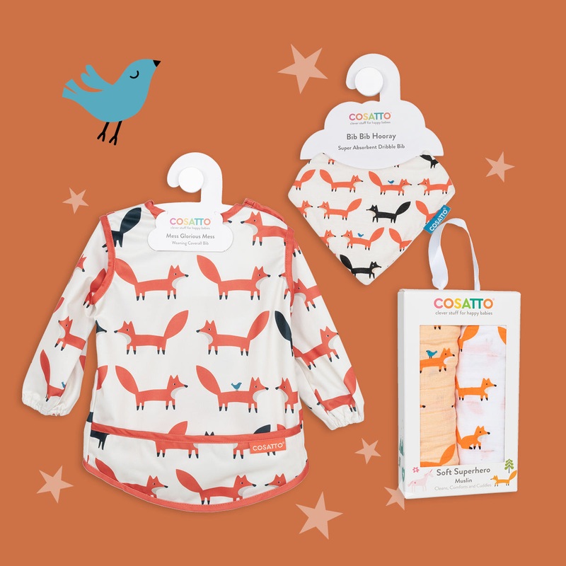 Clean-Me-Up Bundle Mister Fox