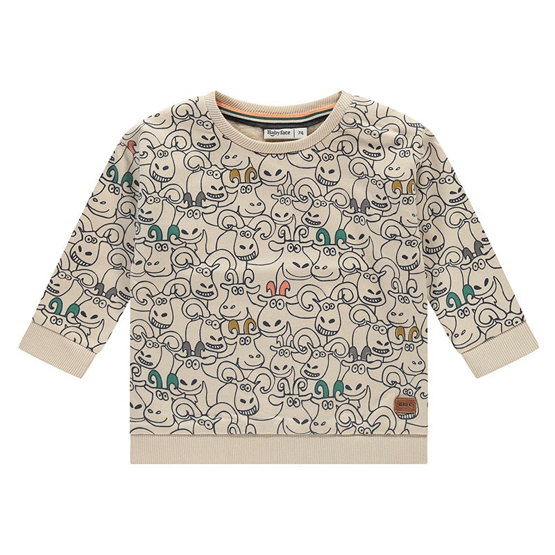 Baby Boy’s Sweatshirt – Shell