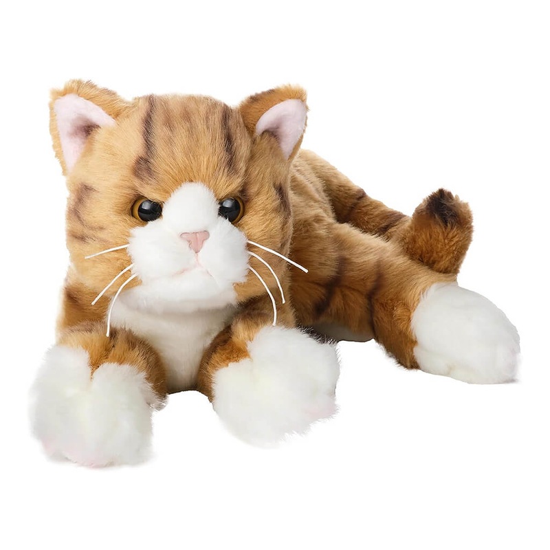 BRG Tabby the Orange Cat