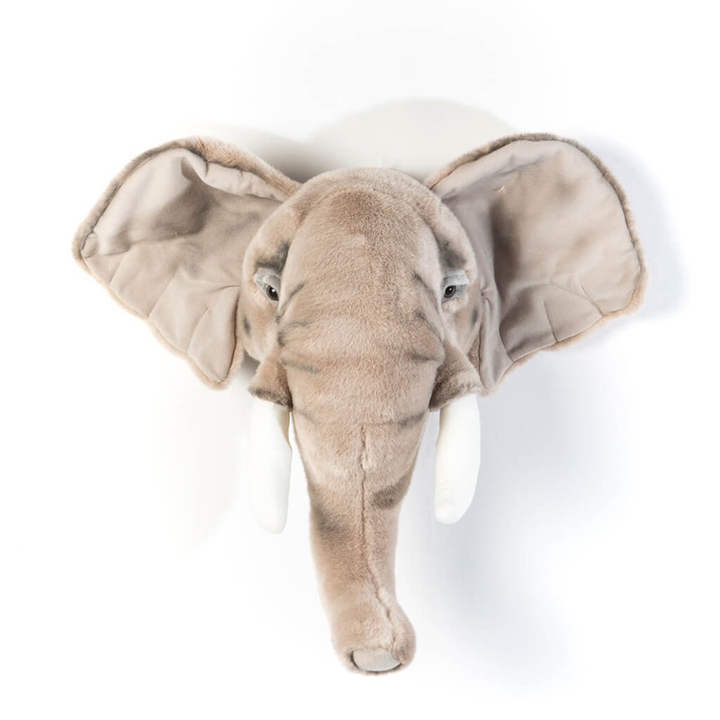 Animal Head – Elephant