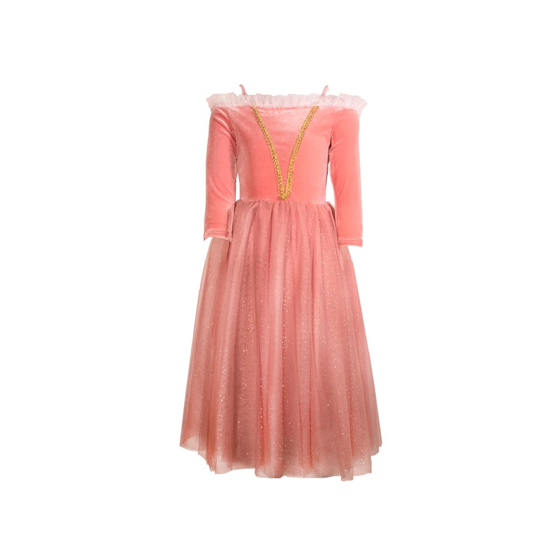 Joy Costumes Princess Briar Rose Costume Dress
