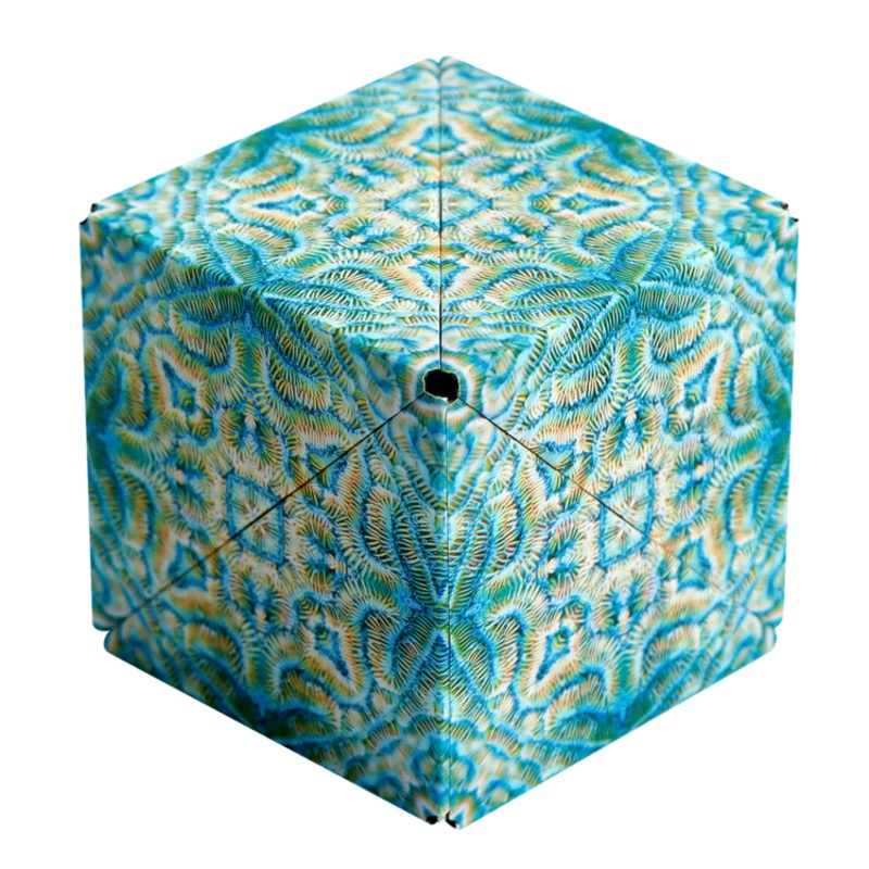 Shashibo Shape Shifting Artist Series: Undersea