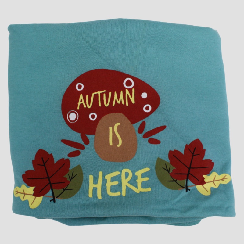 Autumn is Here Baby Blanket