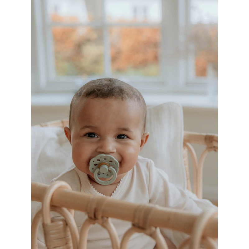 BIBS | Boheme Pacifiers | 2pk 0-6m Blossom & Dusky Lilac