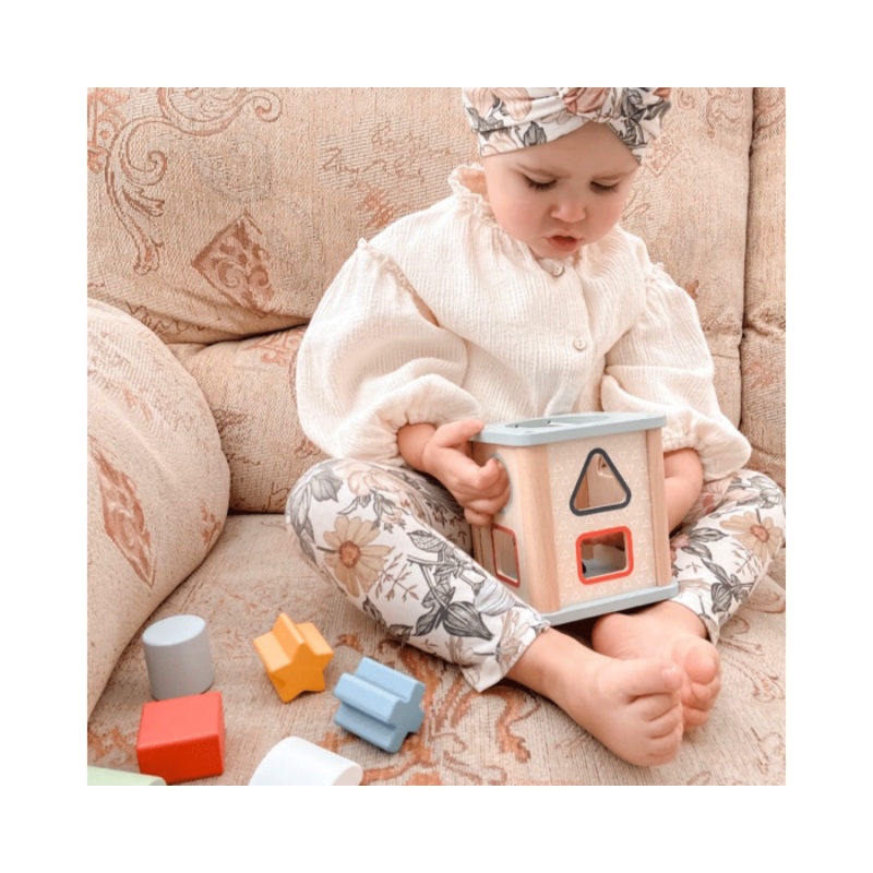 Bigjigs | Shape Sorter