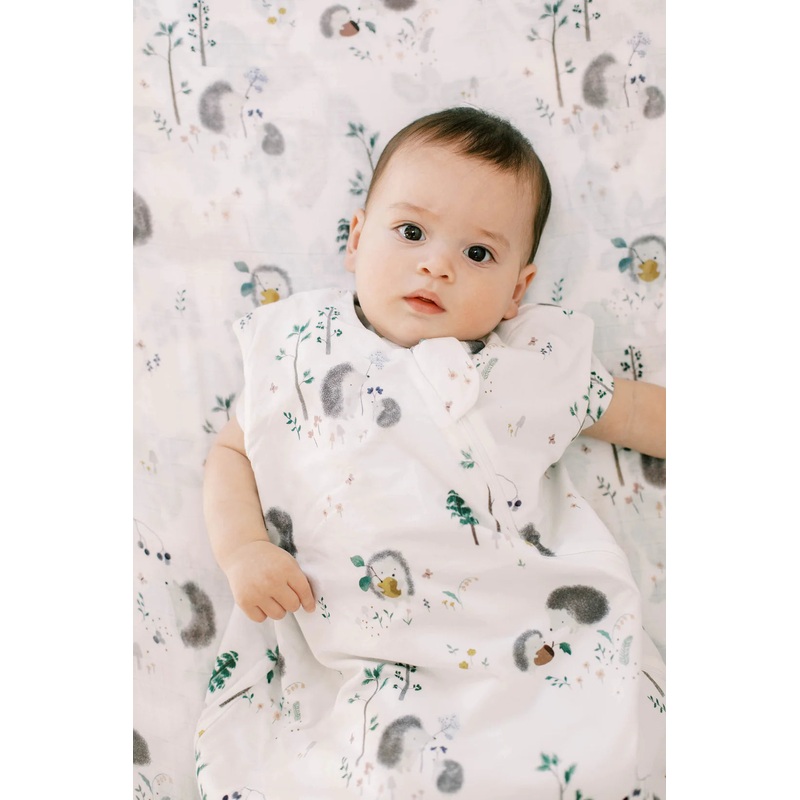 Loulou Lollipop | TENCEL 1.0 TOG Sleep Bag 0-6m Bears on Bikes