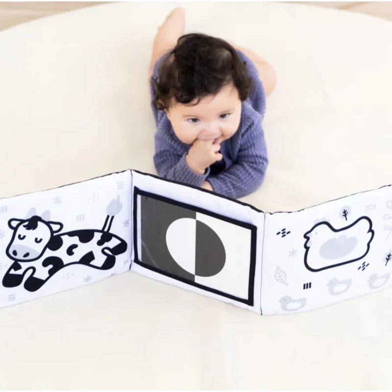 Pearhead | 0-6 Month Learning Kit