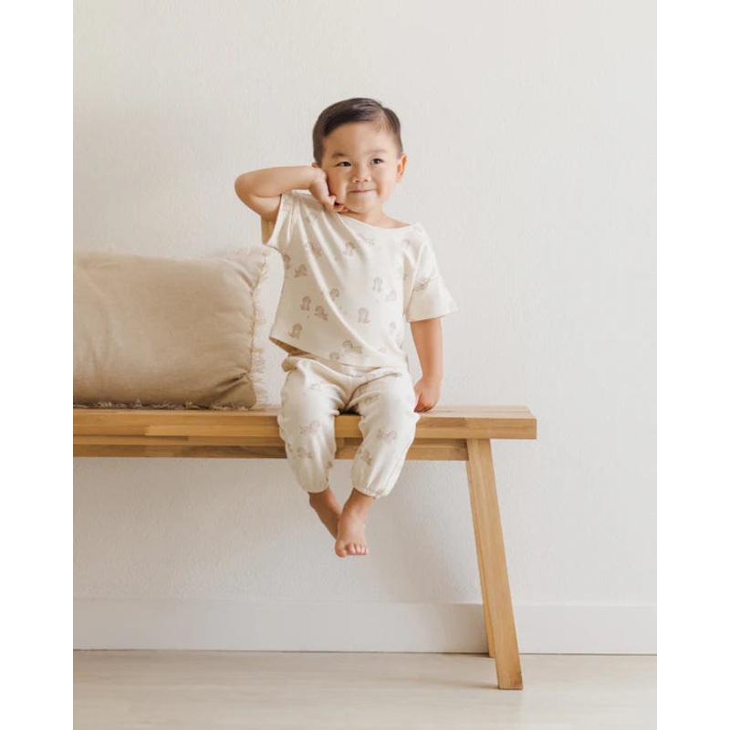 Quincy Mae | Jersey Tee + Pant Set 0-3m Puppies