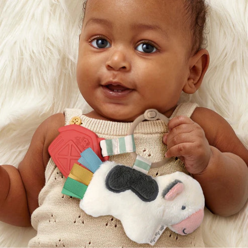 Itzy Ritzy | Itzy Pal Infant Toy Parker the Pickle